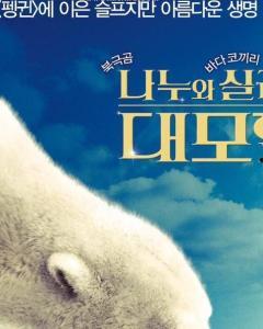 极地熊踪,探寻北极熊的神秘足迹